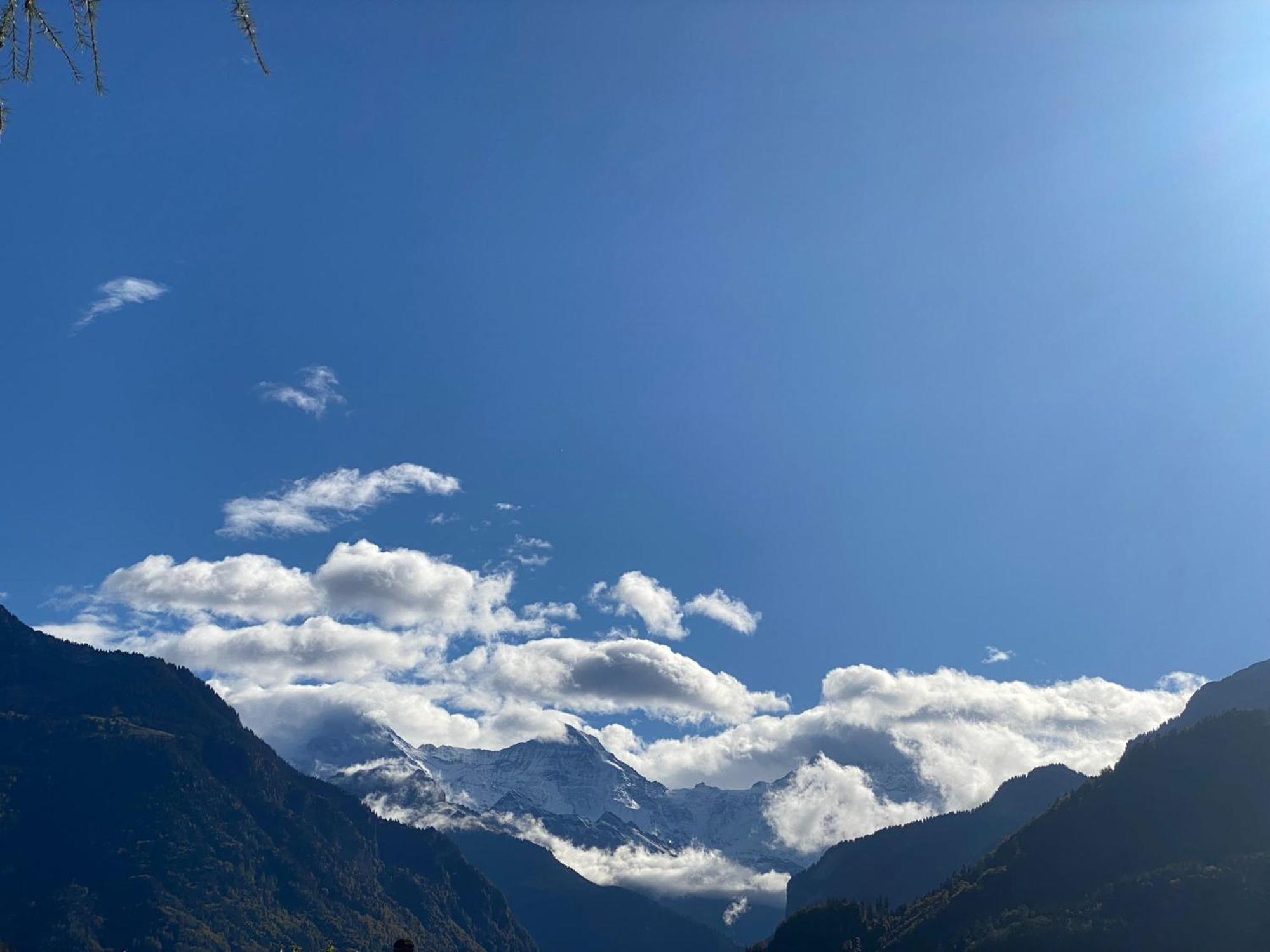 Unique Tiny Eco Lodges With Gorgeous Views To Jungfrau Massiv Interlaken Exterior foto