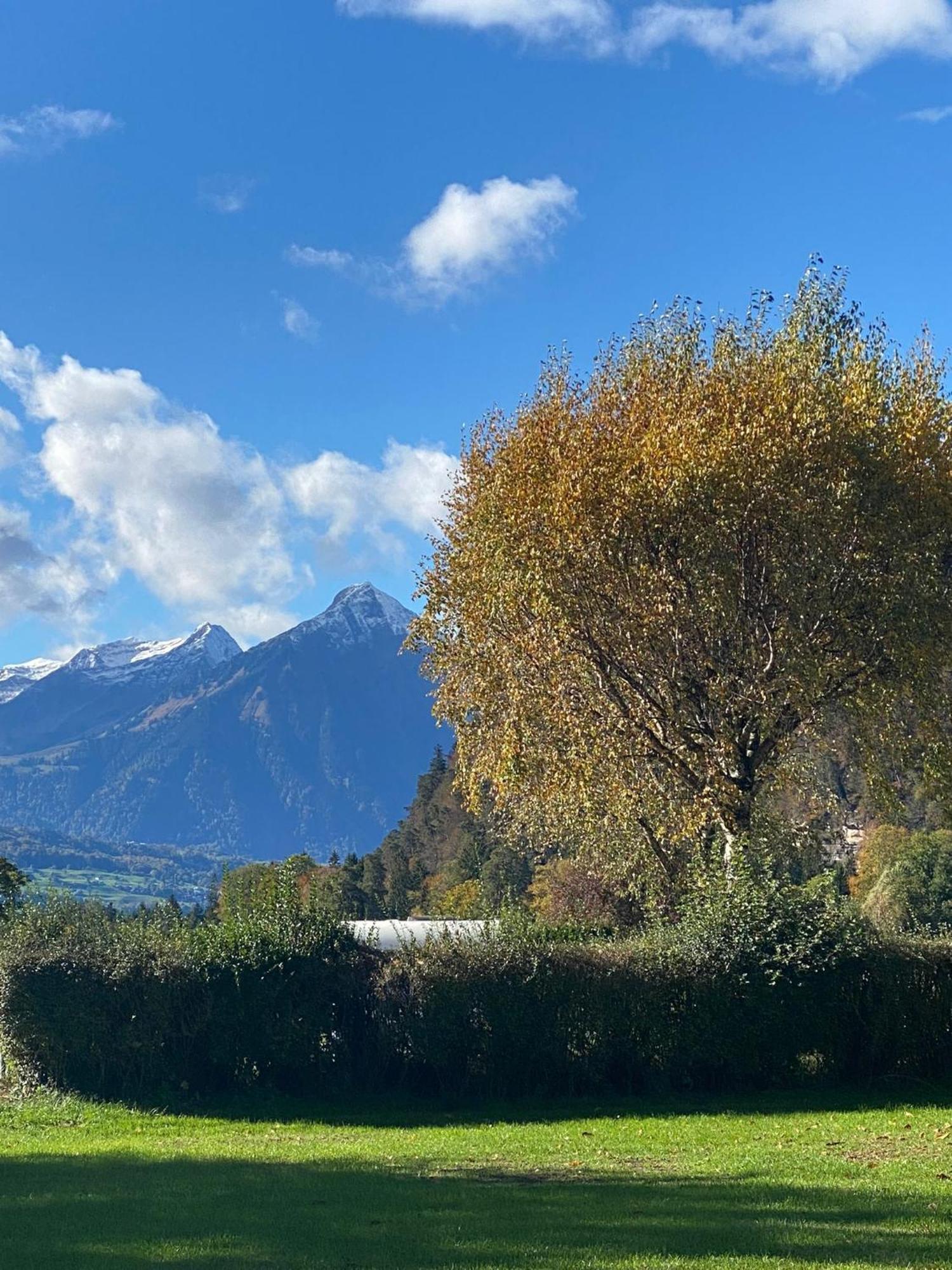 Unique Tiny Eco Lodges With Gorgeous Views To Jungfrau Massiv Interlaken Exterior foto
